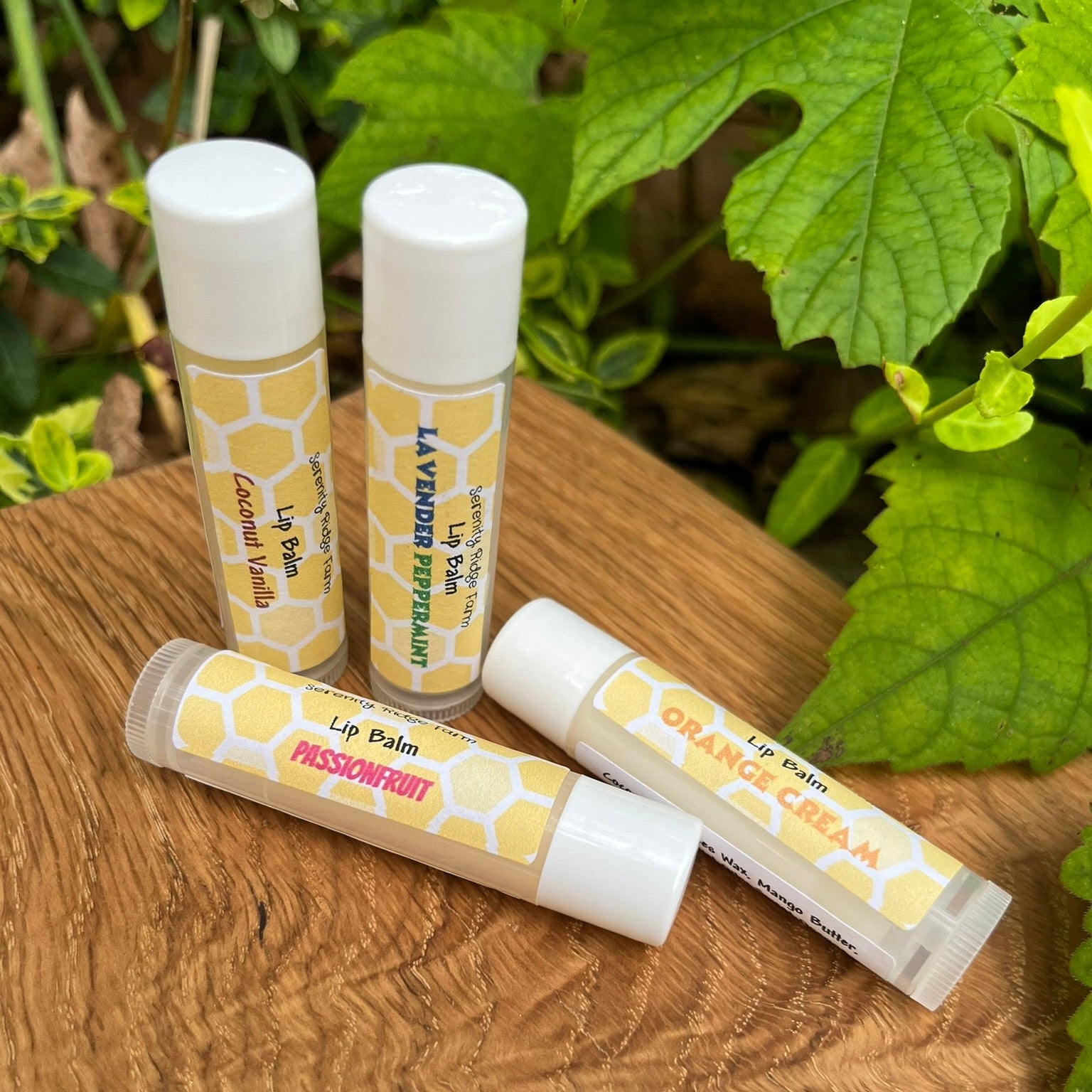 Lip Balm Collection on Board under leaves.